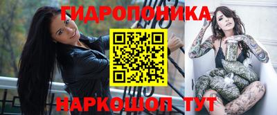 стафф Свободный