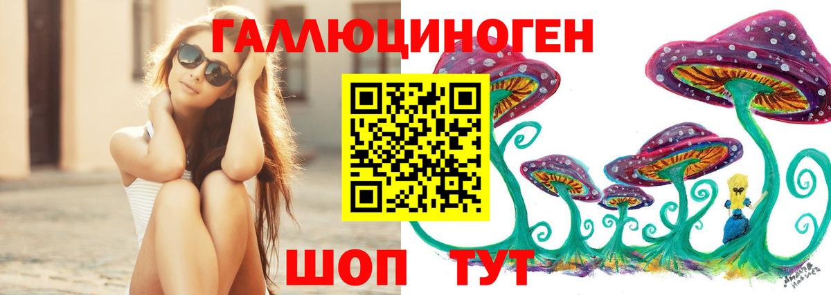 Канск  Псилоцибиновые грибы GOLDEN TEACHER  Вход с VPN 
